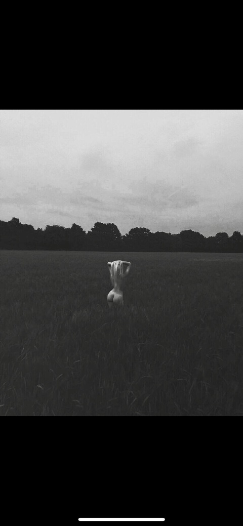 Frankie | TOP 13%🐰 cover image