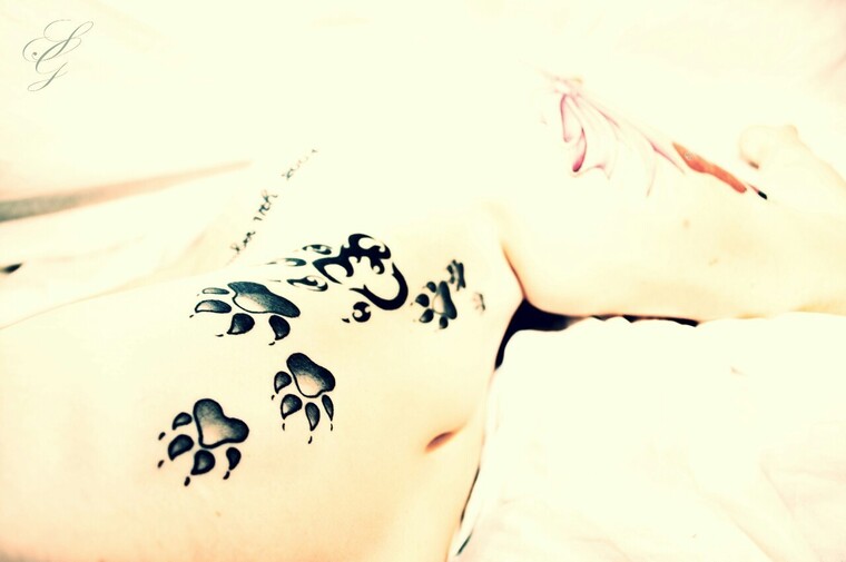 Kitten😘 banner image