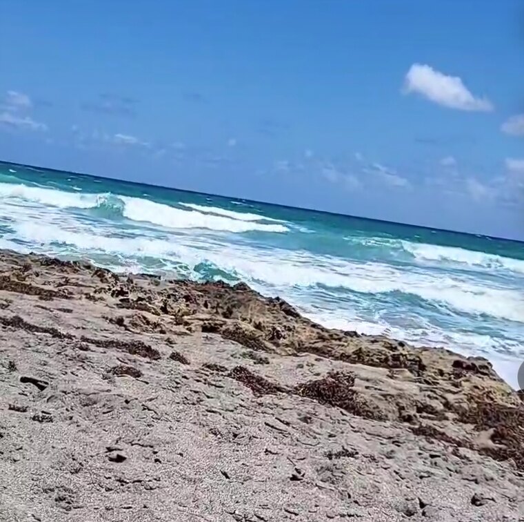 PetiteFeet FL banner image