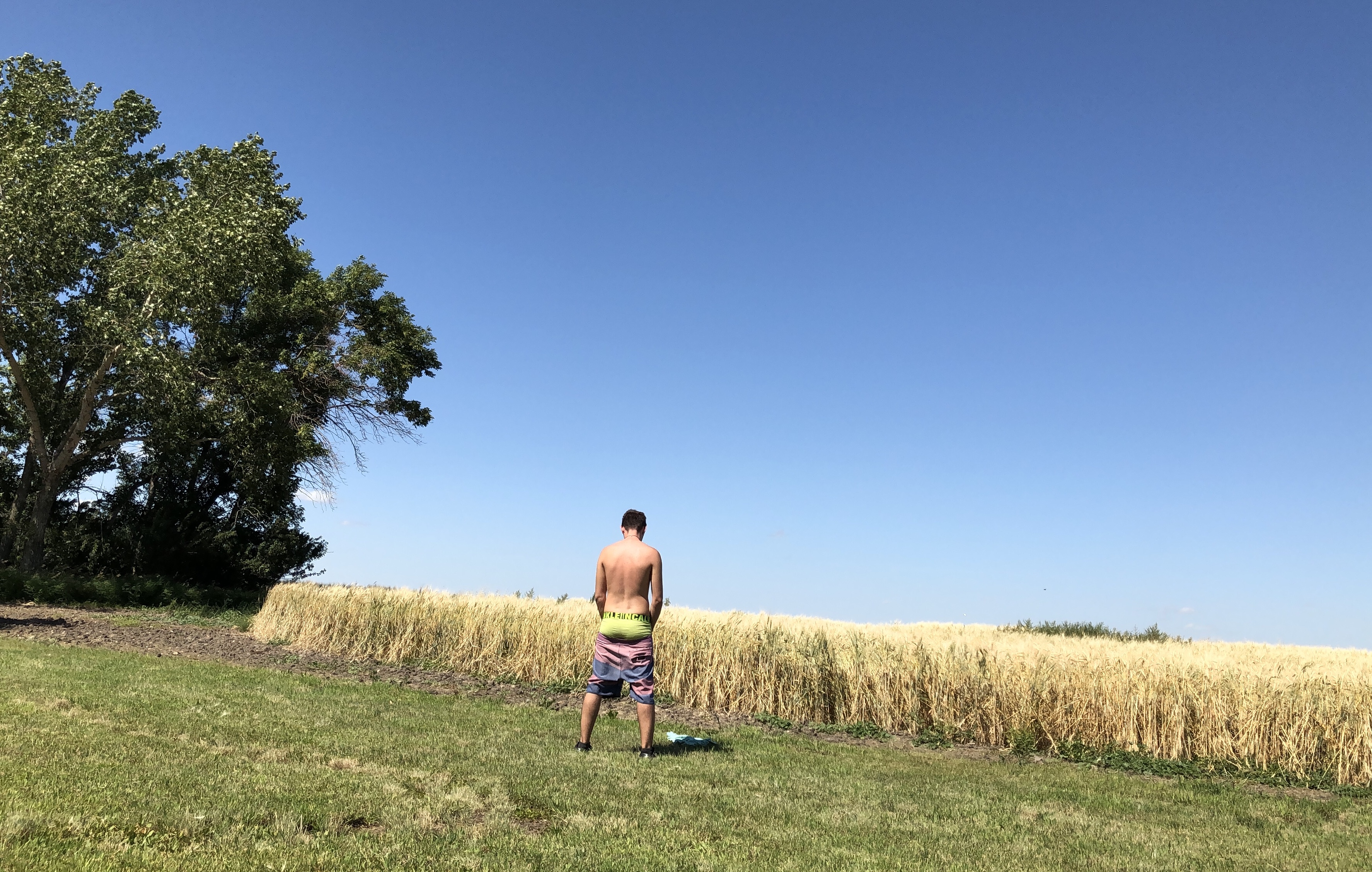 pflanzdaddy banner image