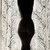 Poppy Flower avatar