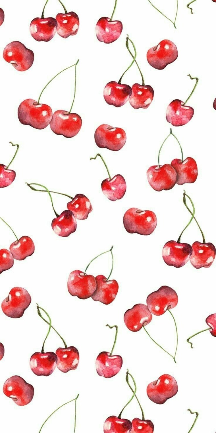phatty cover image