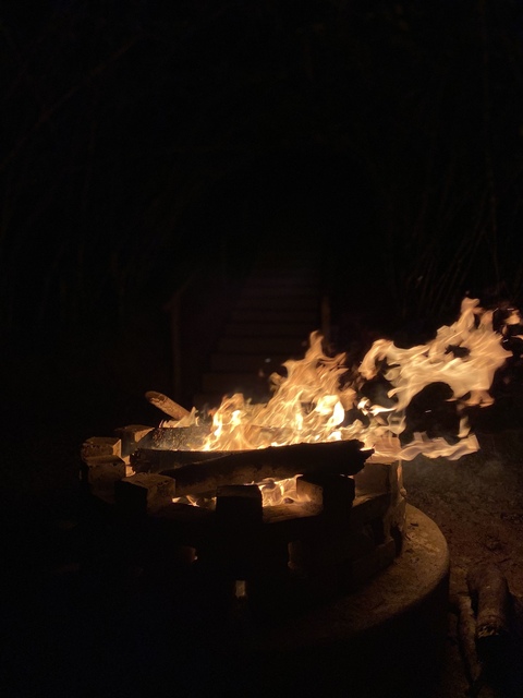 WillBR cover image
