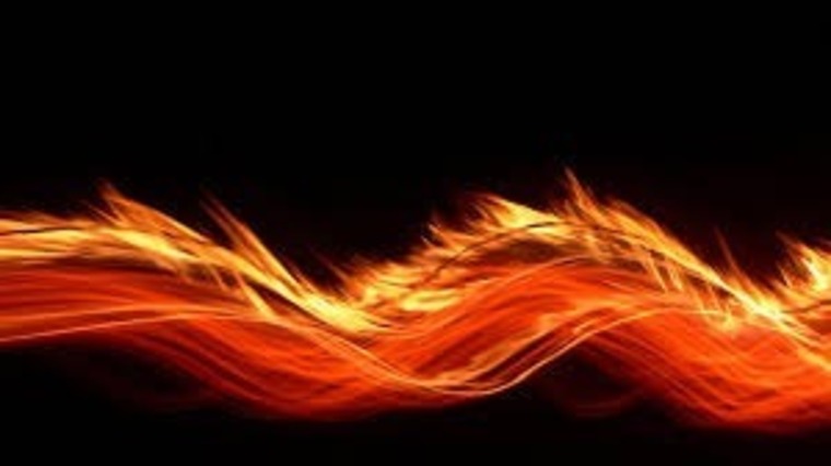 Pheonix cover image