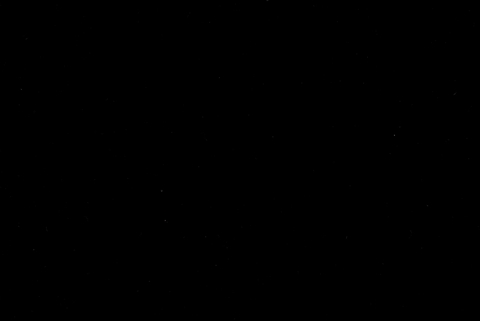 P. cover image