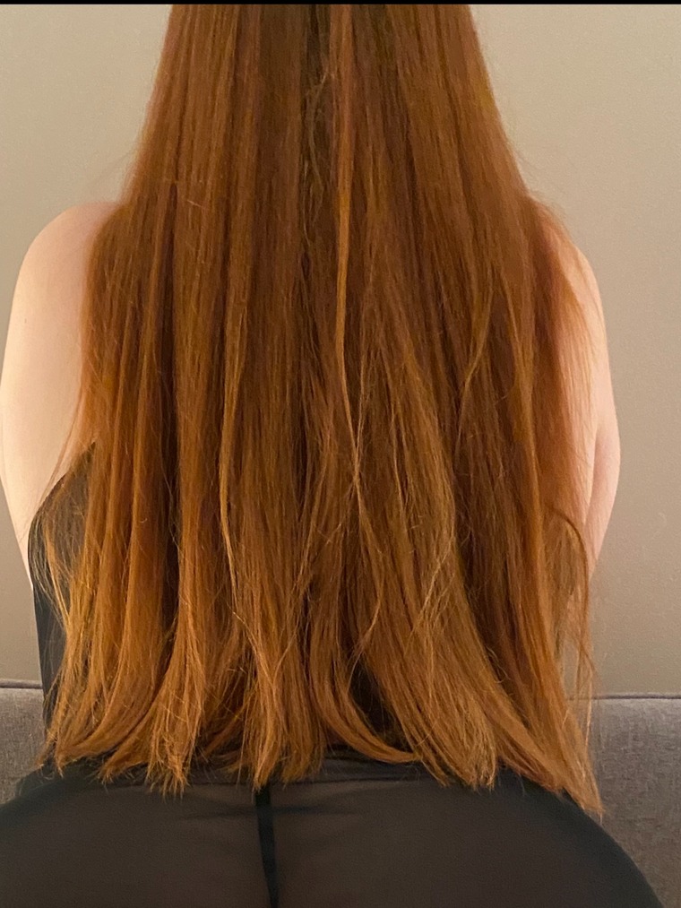 Phoenix Rose cover image
