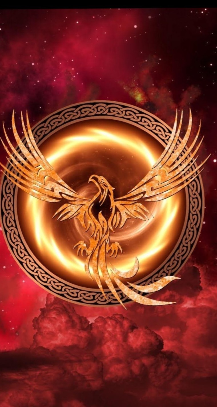Phoenix Lv banner image
