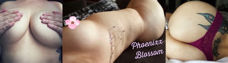 Rosie Lee ๐น banner image