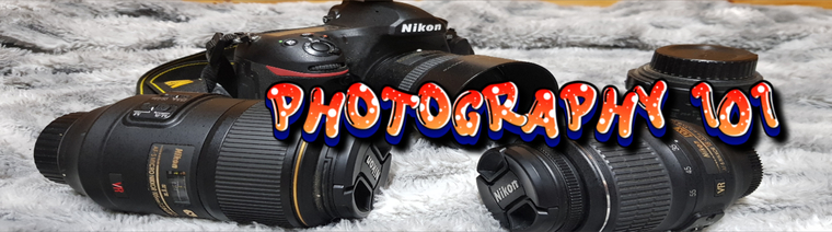 Photo_101 cover image