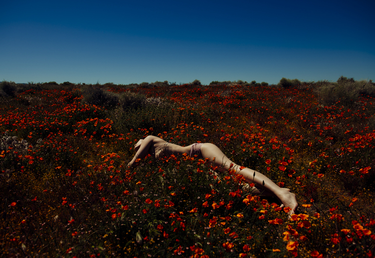 Photobunny cover image
