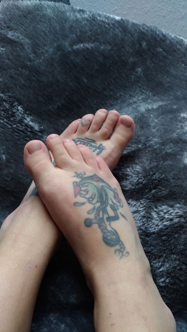 Photos of Feetsies cover image
