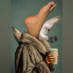 Pied de nez avatar