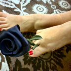 Piedi Di Fata avatar