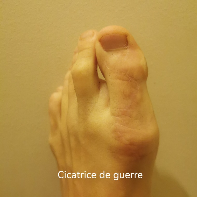 Piedtichiste cover image