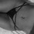Piel canelA avatar