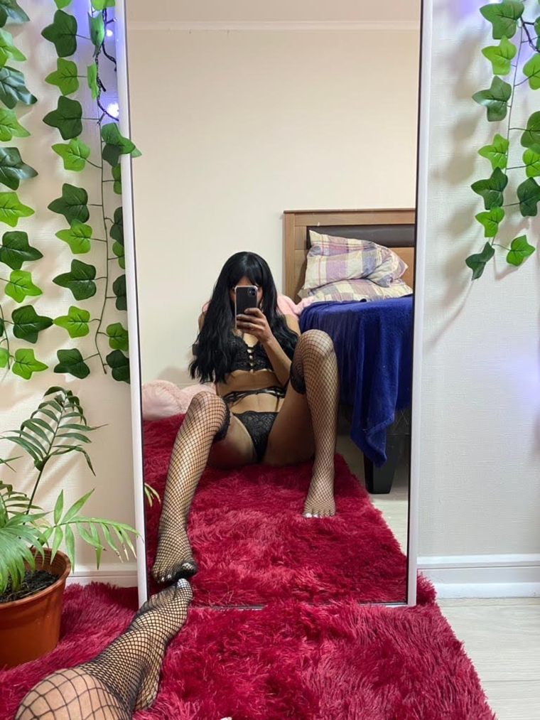 _PIEL MORENA_🐾 banner image
