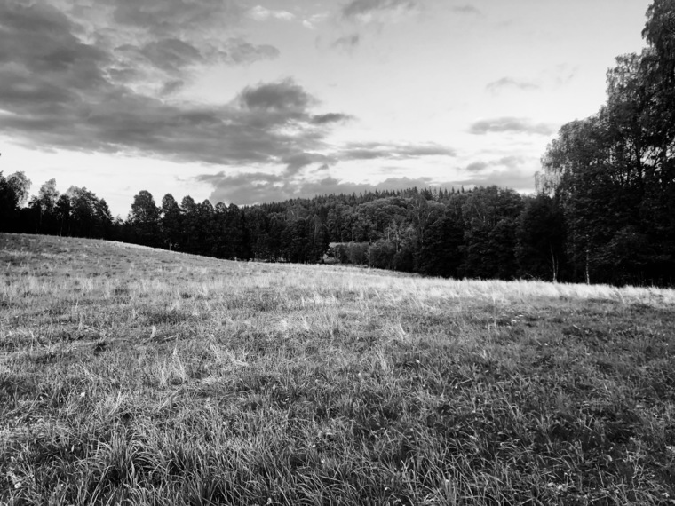 Swedish_girl banner image