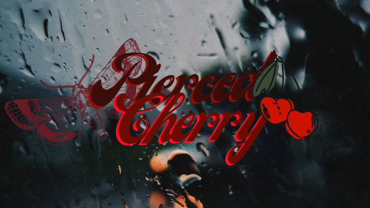 Ciaran Ray banner image