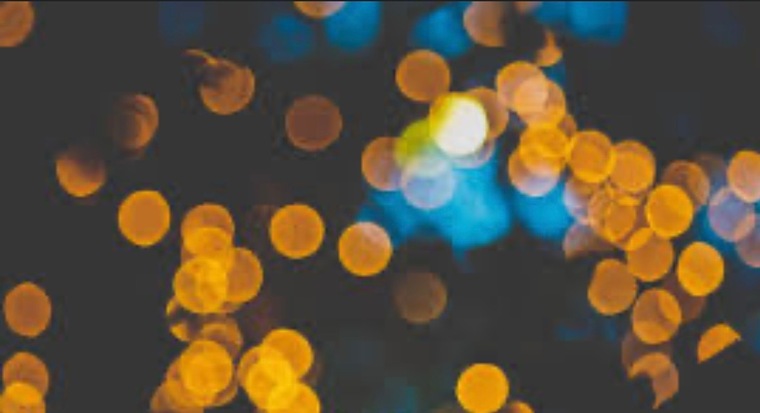 Mags banner image