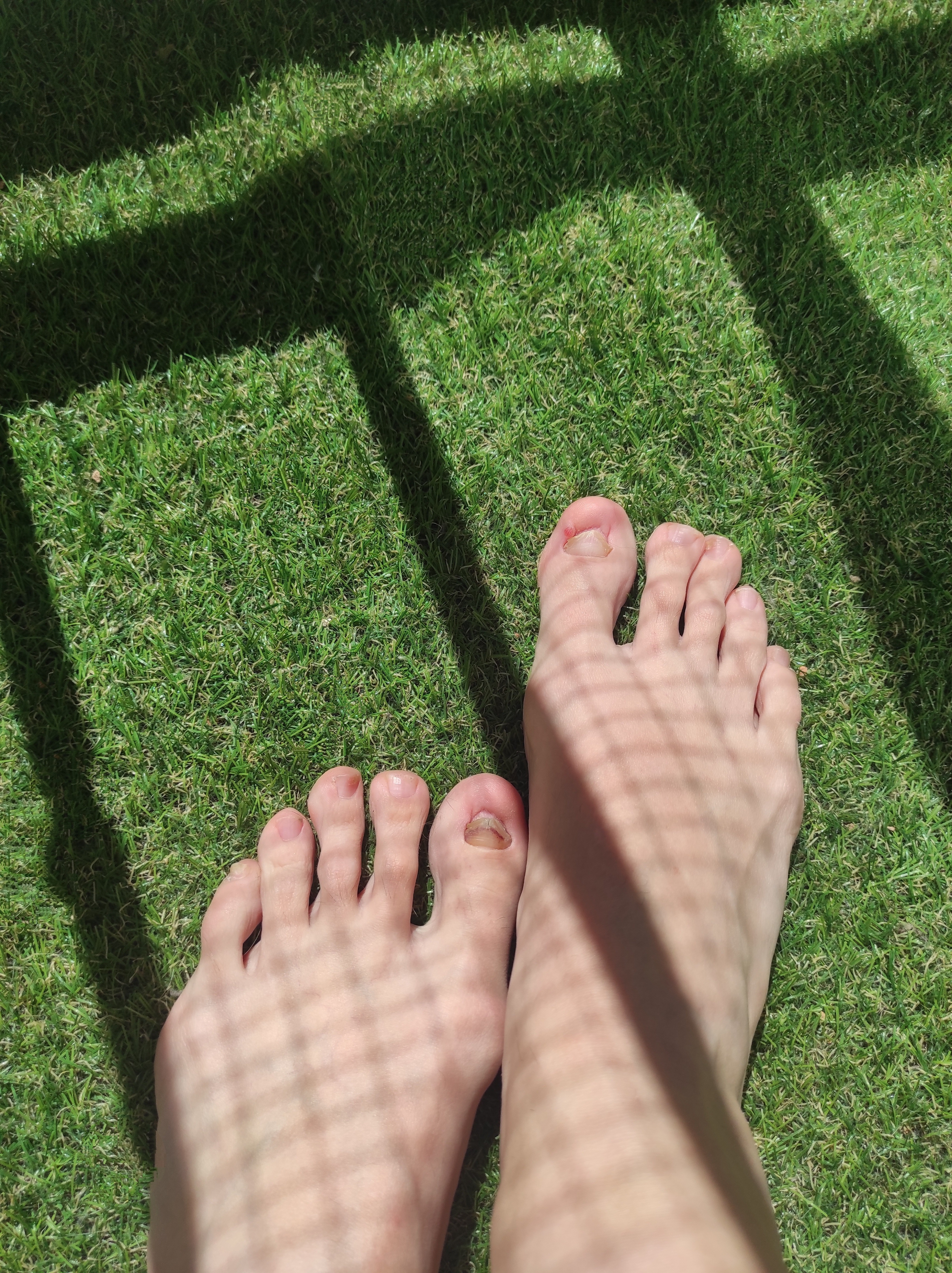 Ballerina's feet banner image