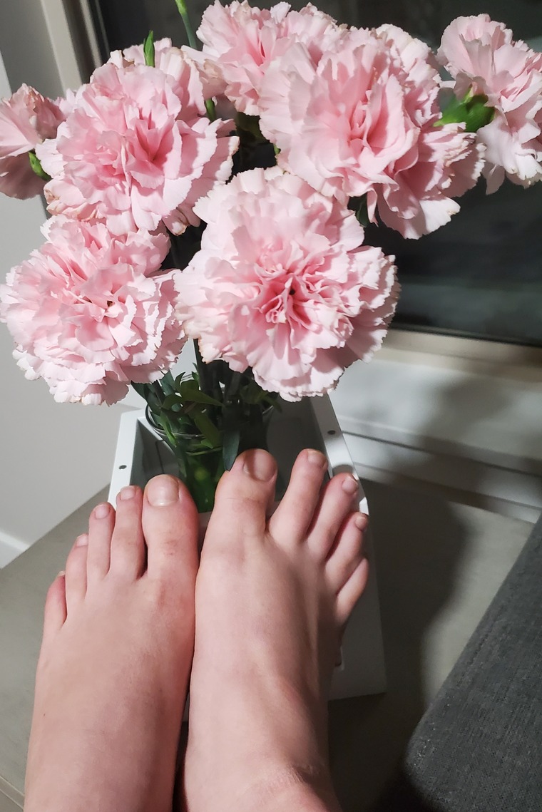 piesdegatita69 cover image