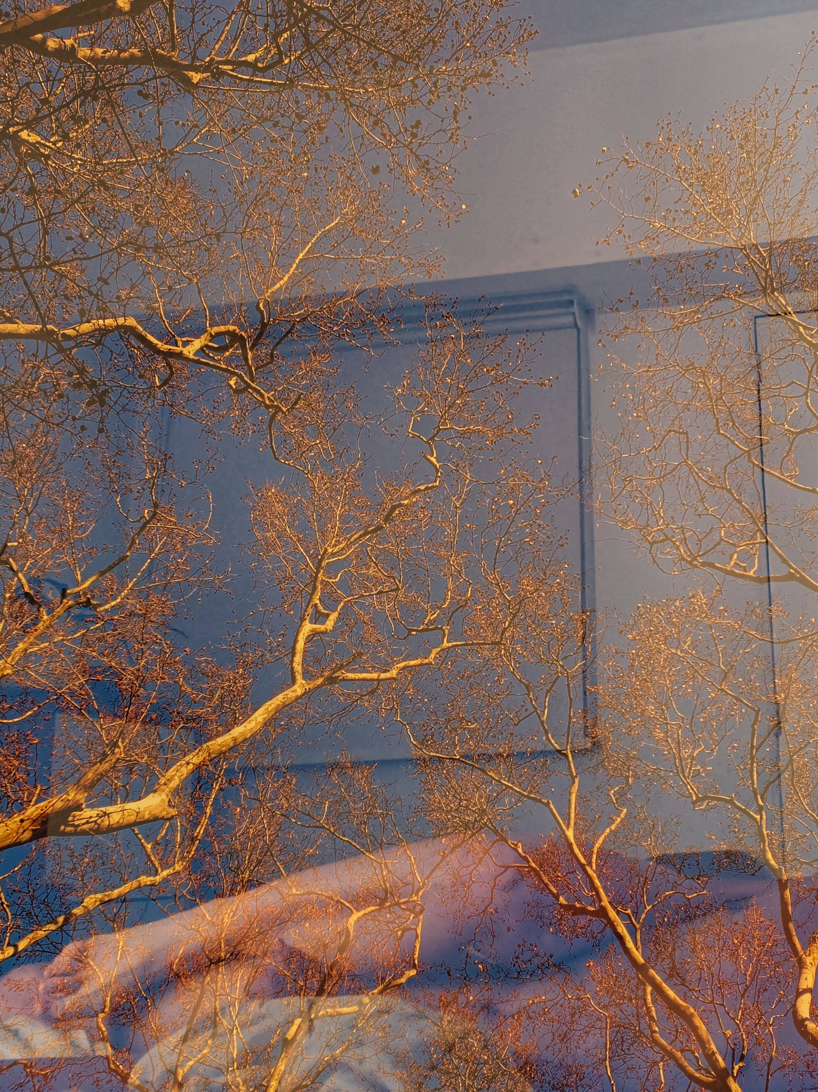 GABRIELA ILLARREGUI banner image