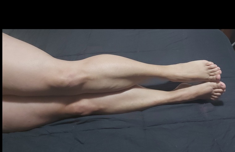 sexypies banner image