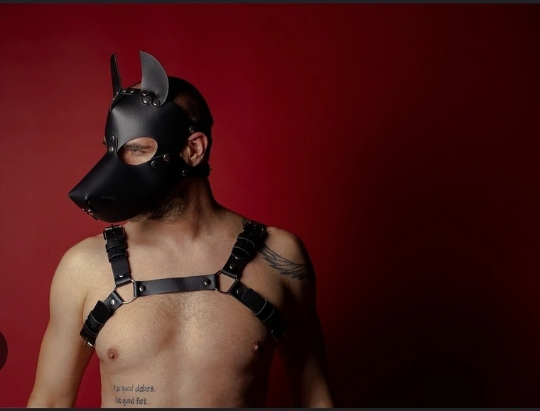 Pietro cover image