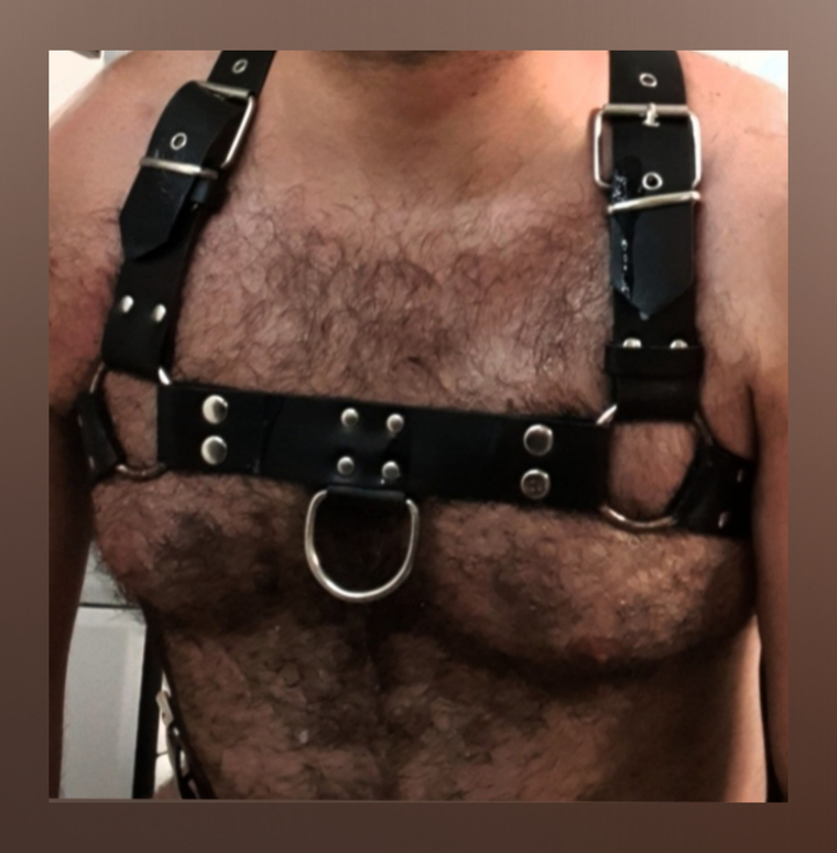 PIGBEAR banner image