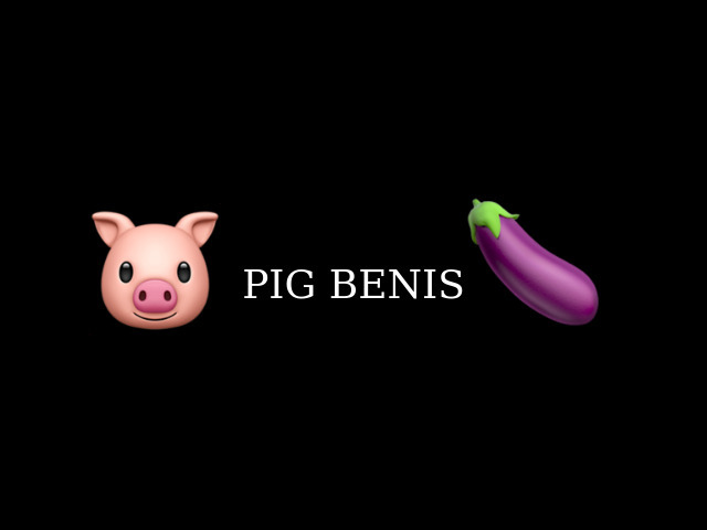 PB banner image