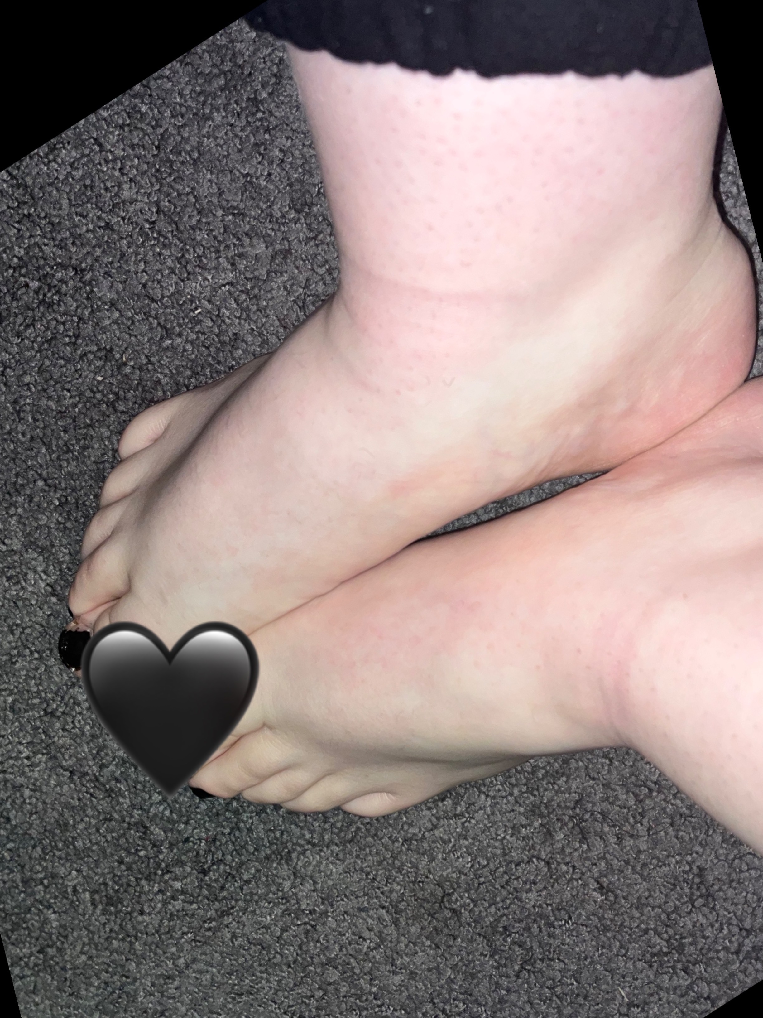 Piggly Wigglies banner image