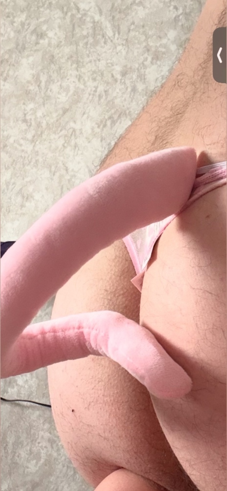 Pig Boy cover image