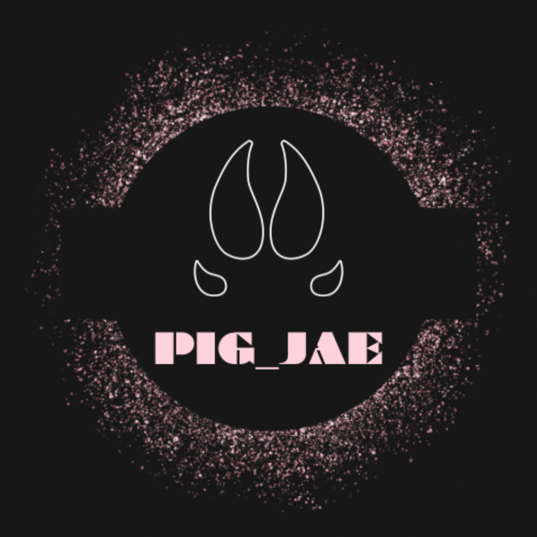 🐷PIG_JAE🐷 cover image