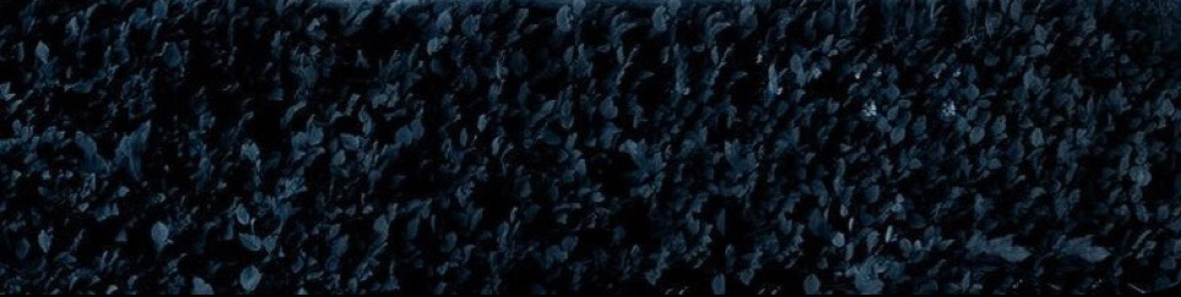 luce banner image