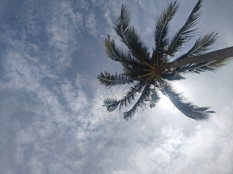 Pina Sky cover image