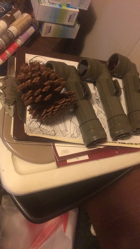Pinekouns cover image