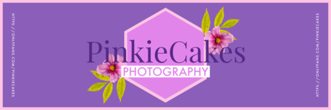 Pinkiecakes cover image