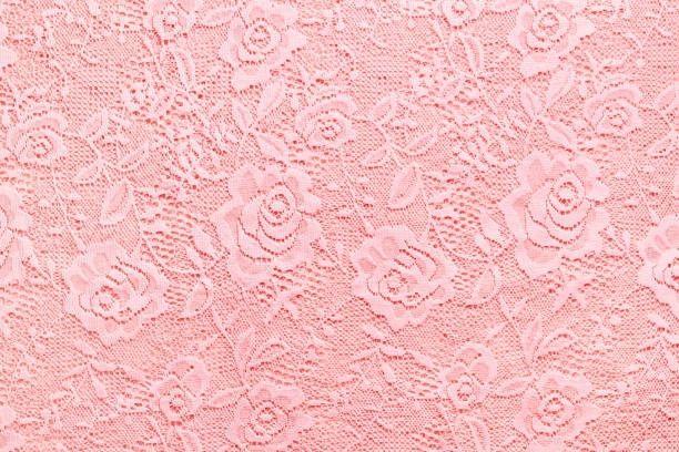 Rosa banner image