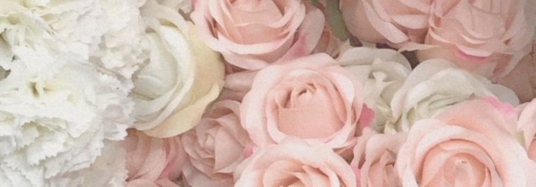 Pinky Paradise banner image