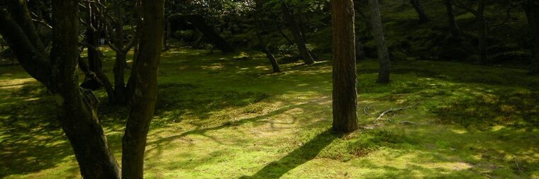pinoseverstian banner image