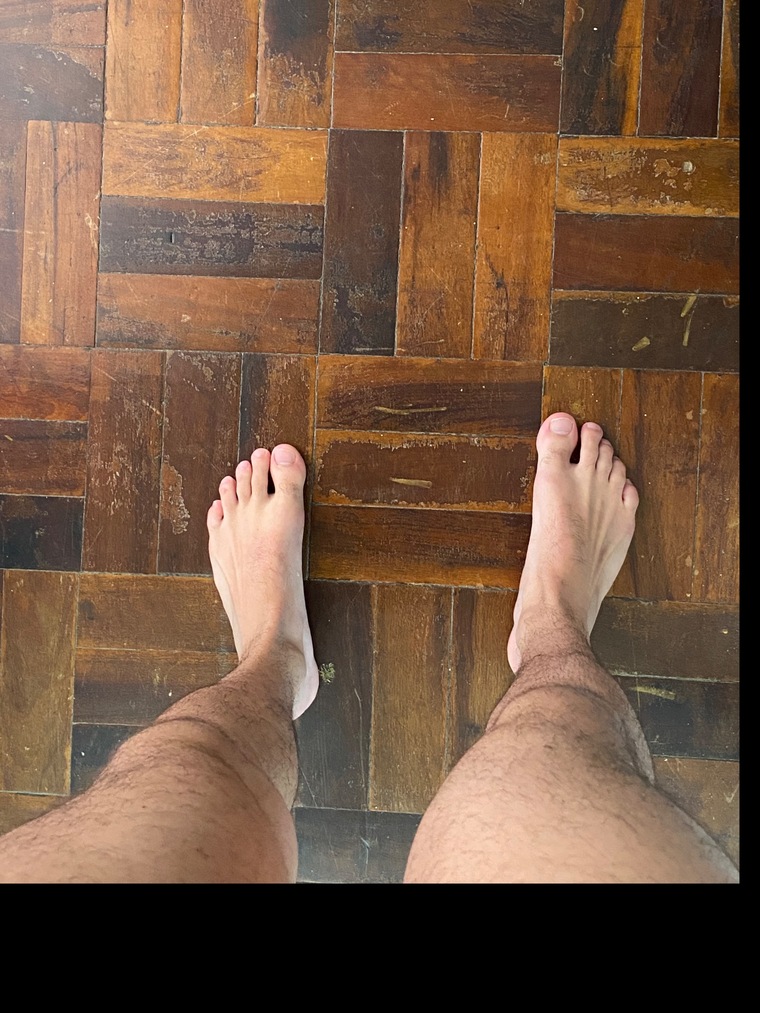 PIPO cover image