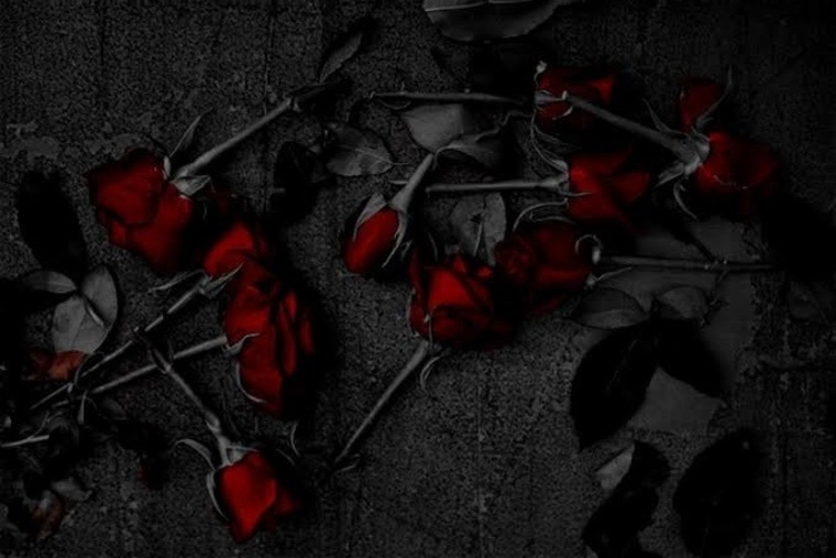 .~=PiXi~TiTz=~. banner image