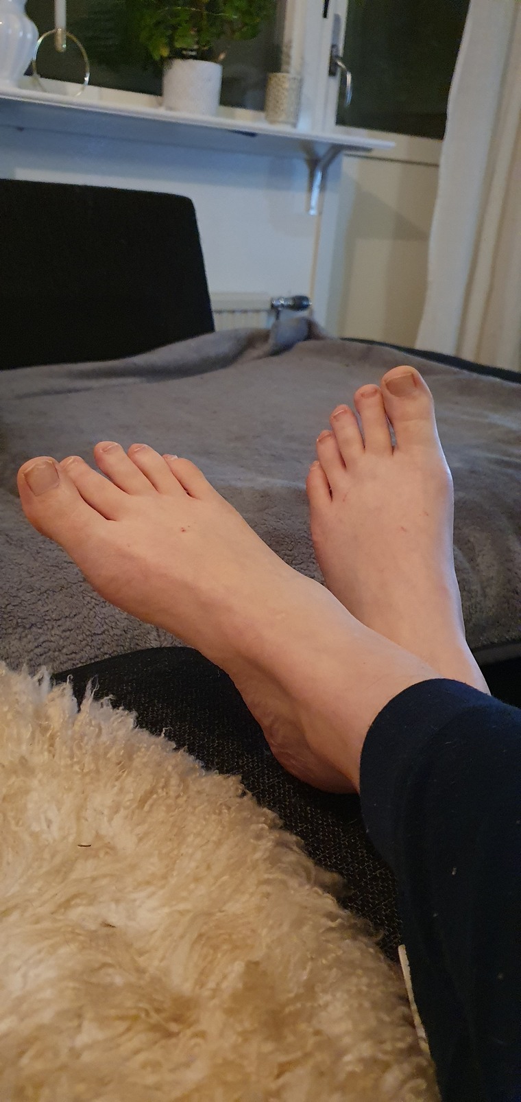 Pixie Feet cover image