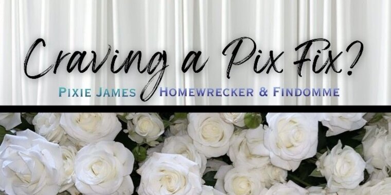 Pixie Homewrecker Princess of Paypigs cover image