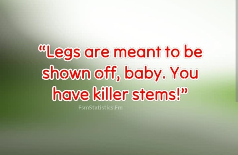 Pixie_Legs banner image