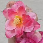 Pixie pinkys avatar