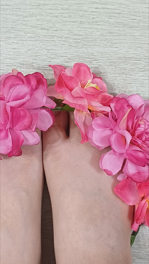 Pixie pinkys cover image