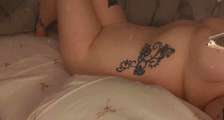 Lilly banner image