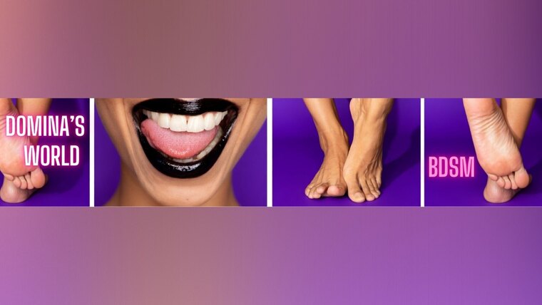 DominaXO cover image