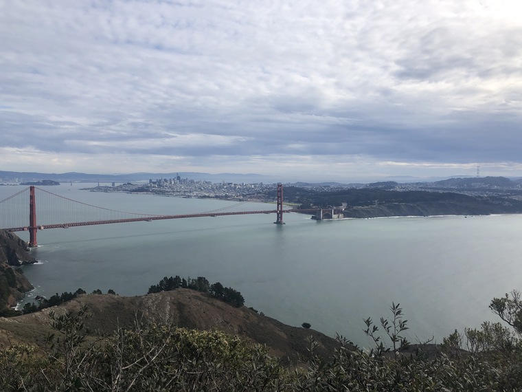 PlantDaddy_SF cover image